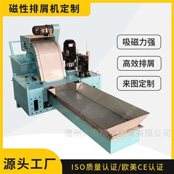 THESK658天海定制永磁性排屑輸送機