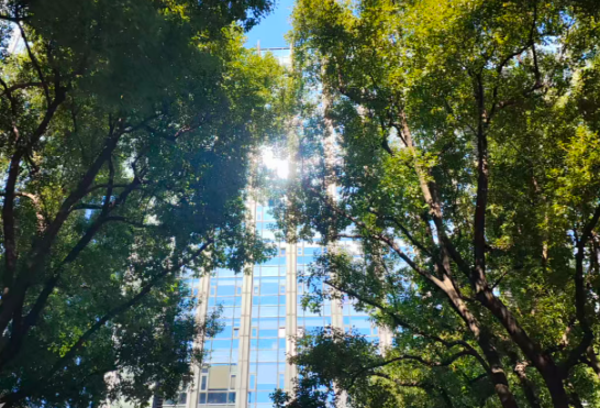 《电信和互联网生成式人工智能服务安全分级指南》团体标准宣贯会召开 《电信和互联网生成式人工智能服务安全分级指南》团体标准宣贯会召开