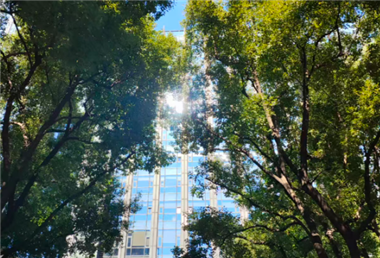 《电信和互联网生成式人工智能服务安全分级指南》团体标准宣贯会召开
